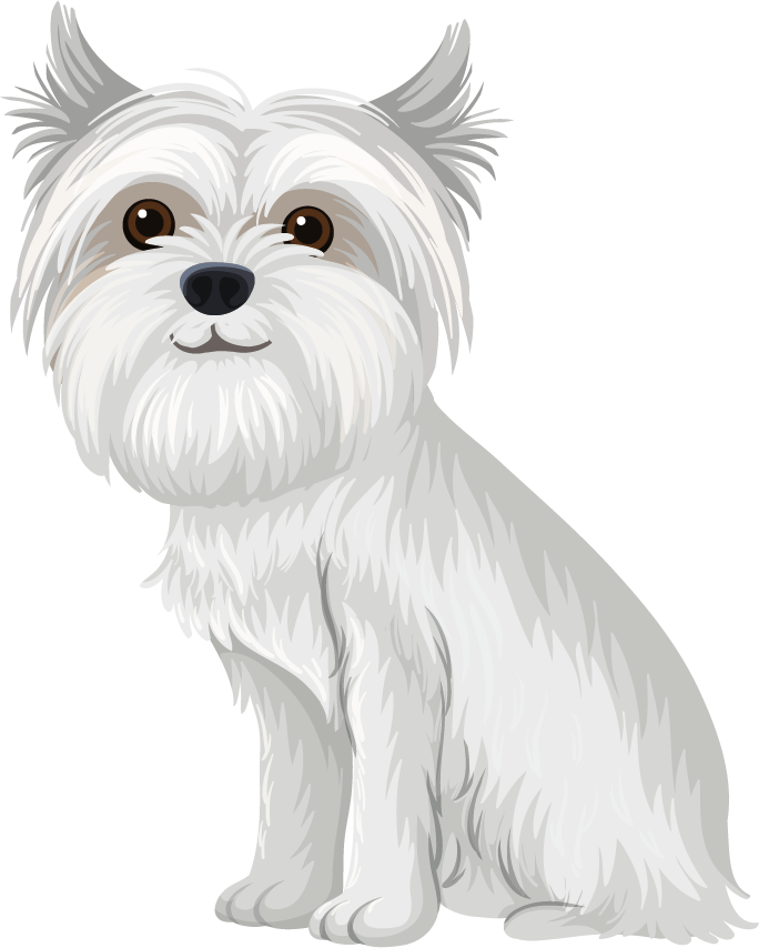 PetProtection Pet image