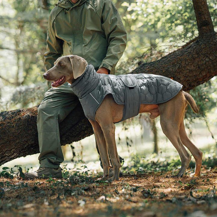 Dog Raincoat - PetProtection