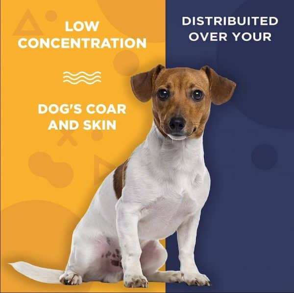 Flea & Tick -Low concentration?