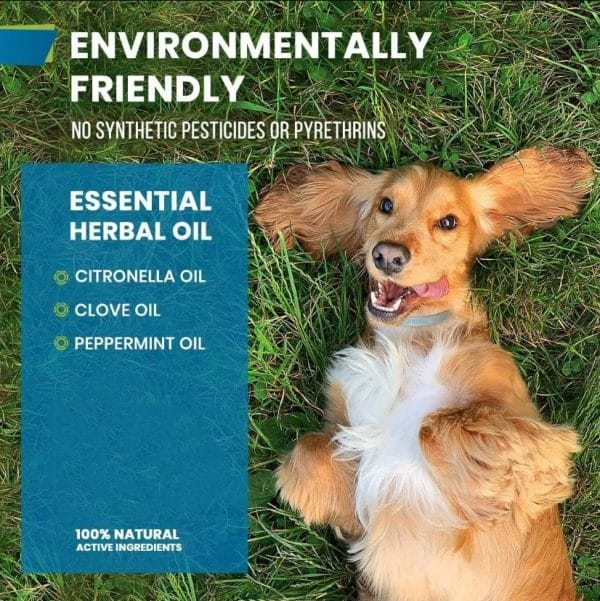 Flea & Tick treatment environmentally friendly
