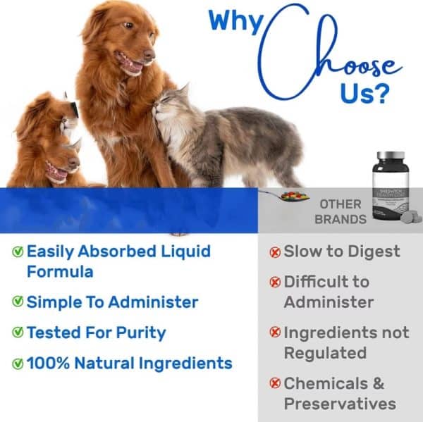 Flea & Tick - why us
