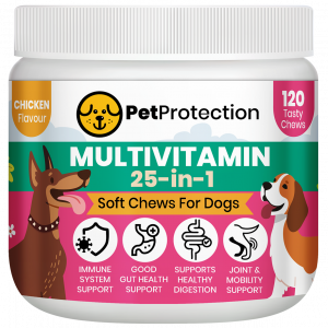 PetProtection™ 25-in-1 Multivitamin Chews for Dogs