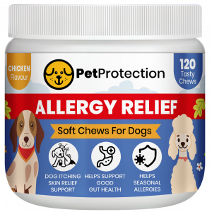 Natural Allergy Relief Chews for Dogs by PetProtection