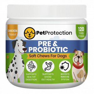 120 Pre & Probiotic Chews for Dogs Supports Digestive Health – promotes a balanced gut microbiome for smoother digestion.