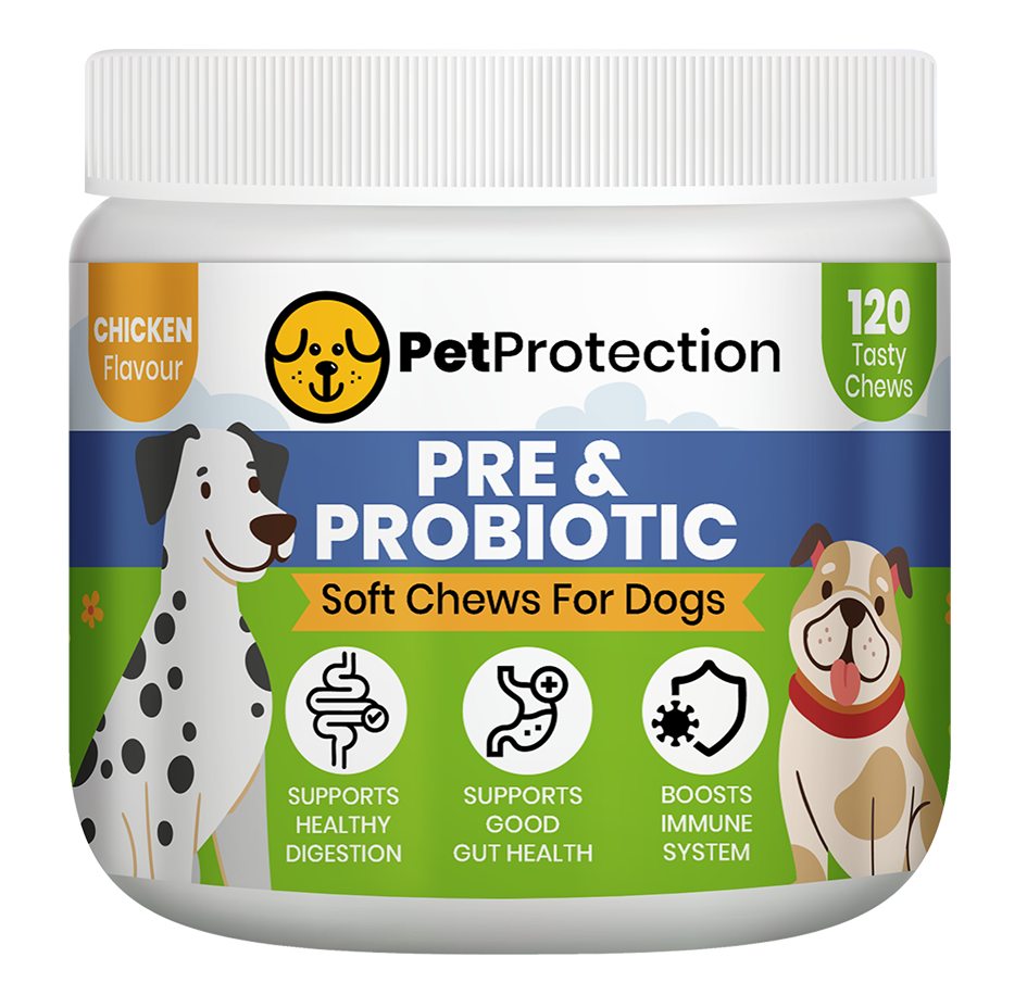120 Pre & Probiotic Chews for Dogs Supports Digestive Health – promotes a balanced gut microbiome for smoother digestion.