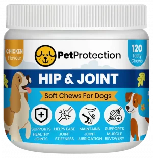 PetProtection Hip & Joint Chews with glucosamine and chondroitin